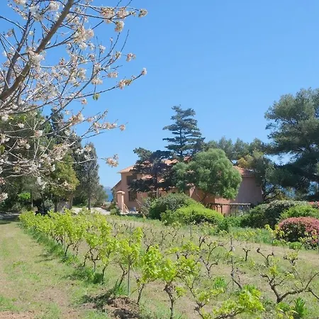 Soupicou Сasa de vacaciones