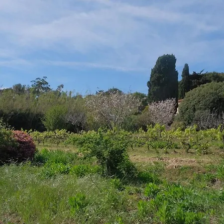 Сasa de vacaciones Soupicou