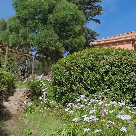 Soupicou Hyères