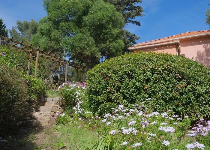 Soupicou Hyères